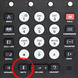 Avaya 1600 & 9600 Desk IP Phones Compatible Call center headsets